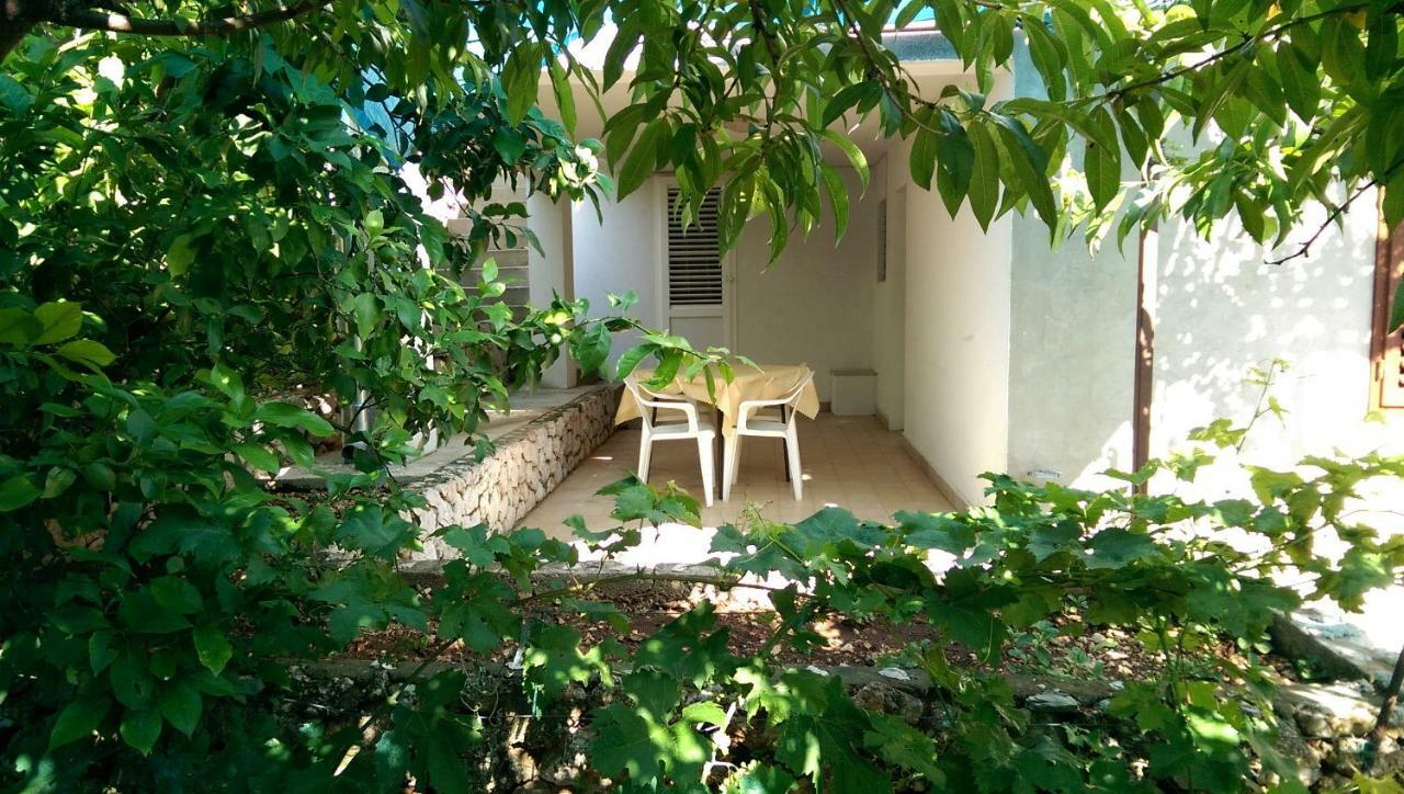 Apartmani Sandro イバン・ドーラッツ エクステリア 写真